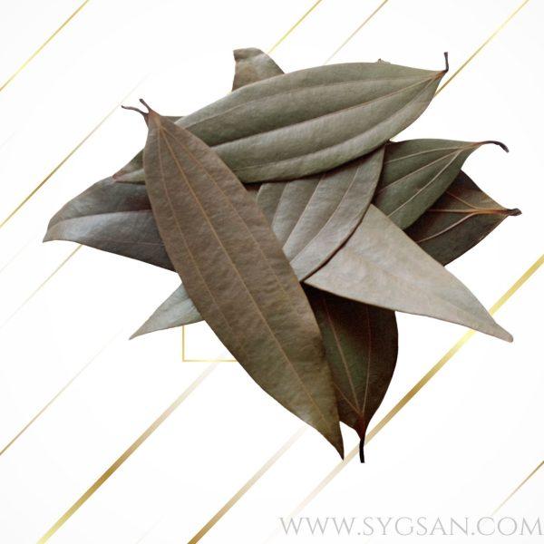 Bay Leaf