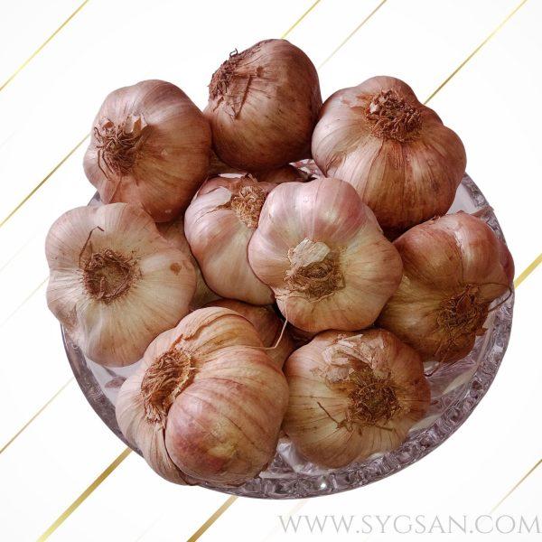 Kodaikanal Hill Garlic Bold